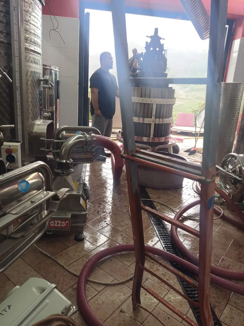 Lavorazione artigianale in cantina