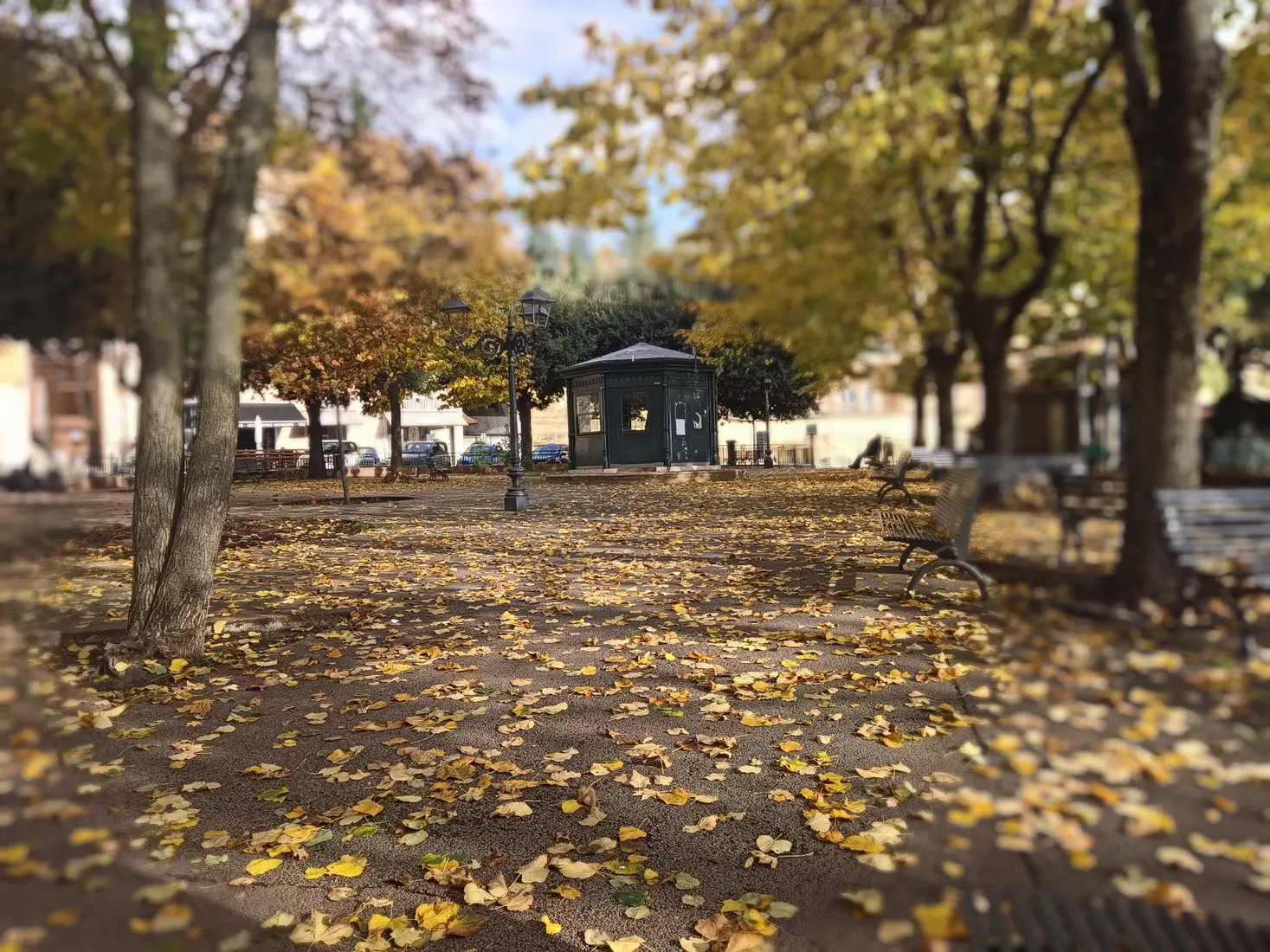 Vigna e territorio in autunno